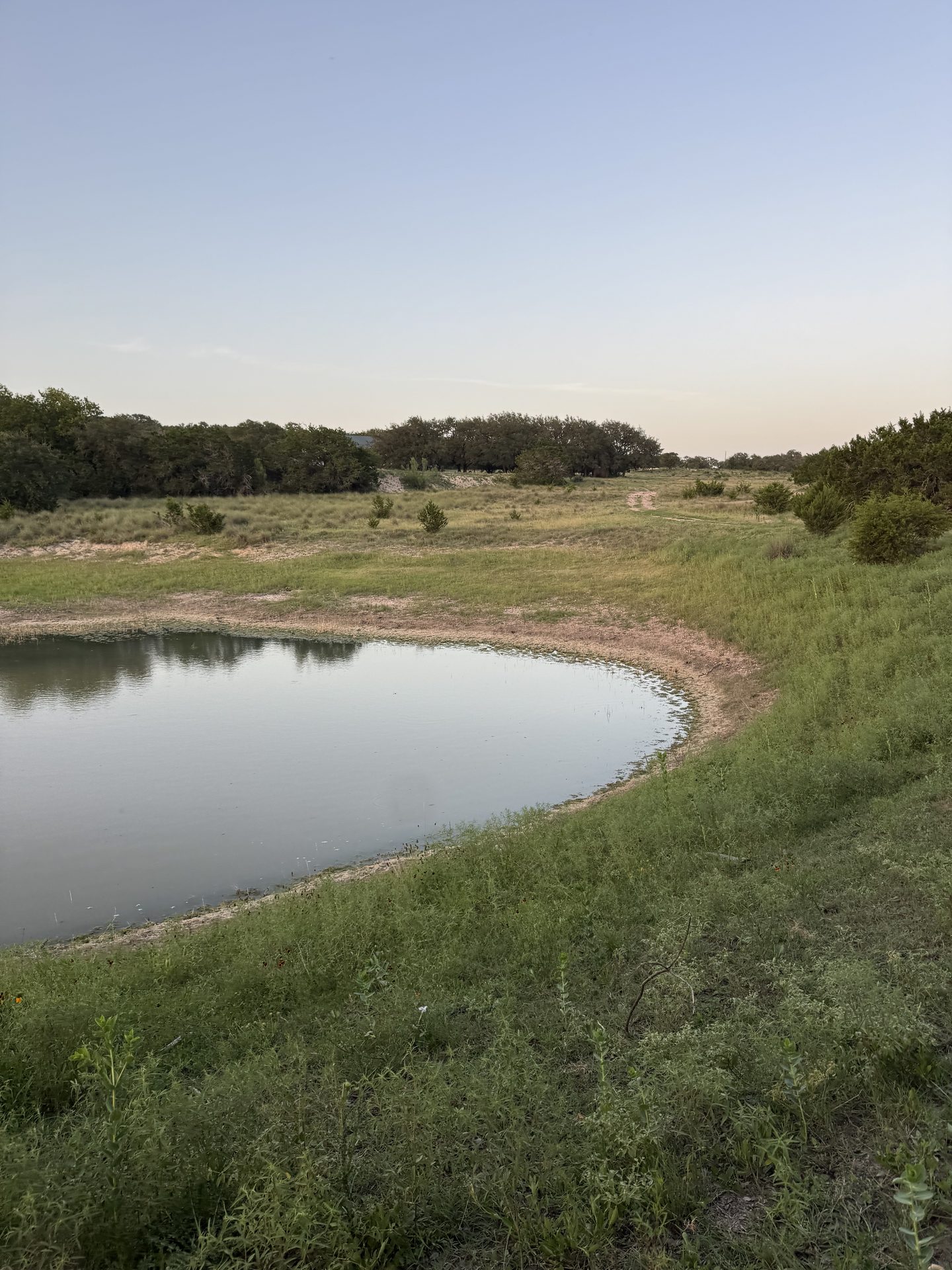 Spring-fed pond ringed by Hill Country