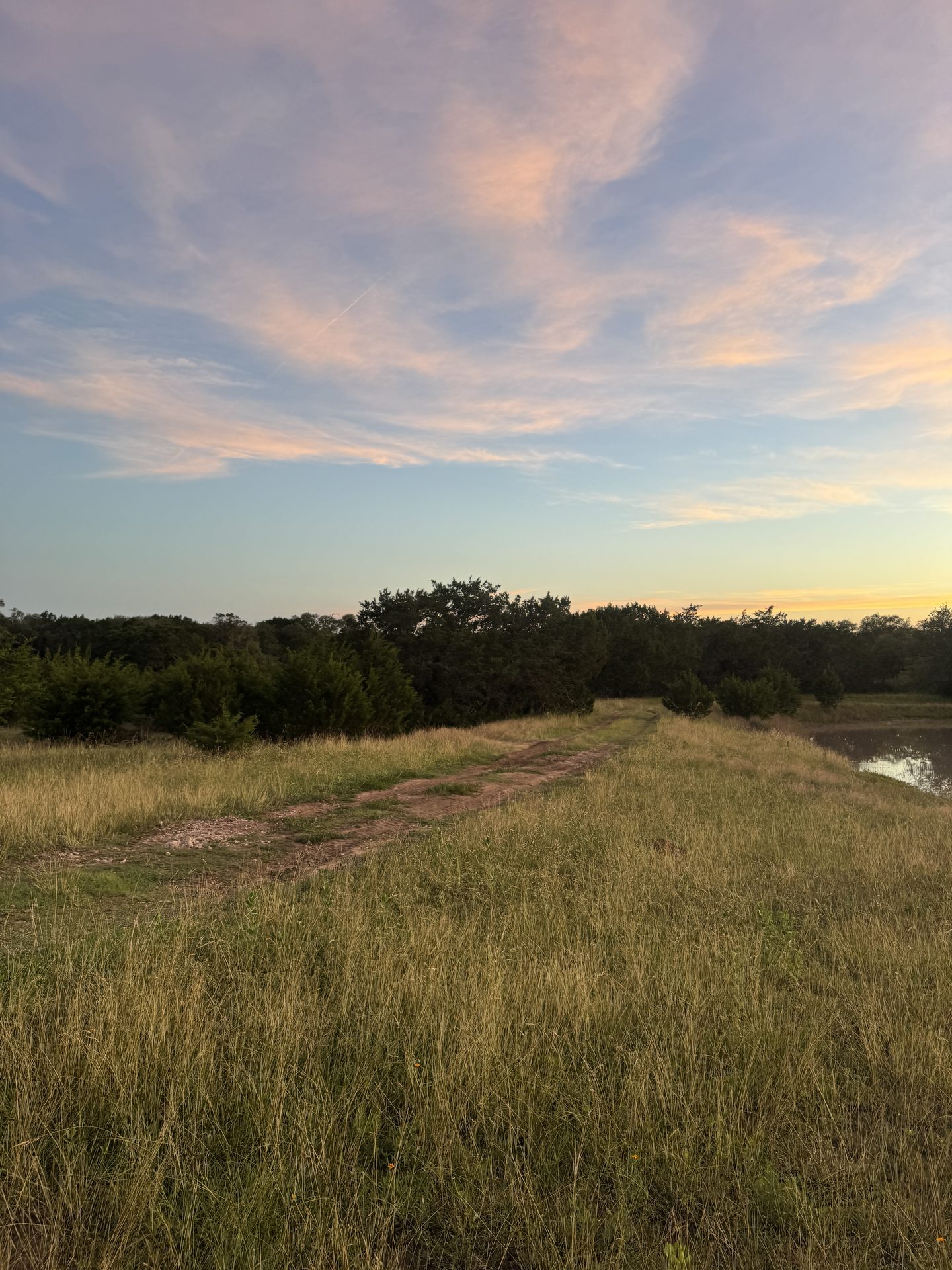 Grass two-track along the pond dam at sunset