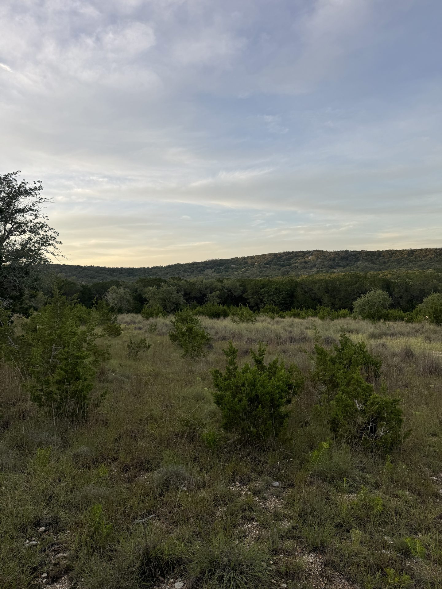 Rolling Hill Country ridges over cedar-dotted pasture