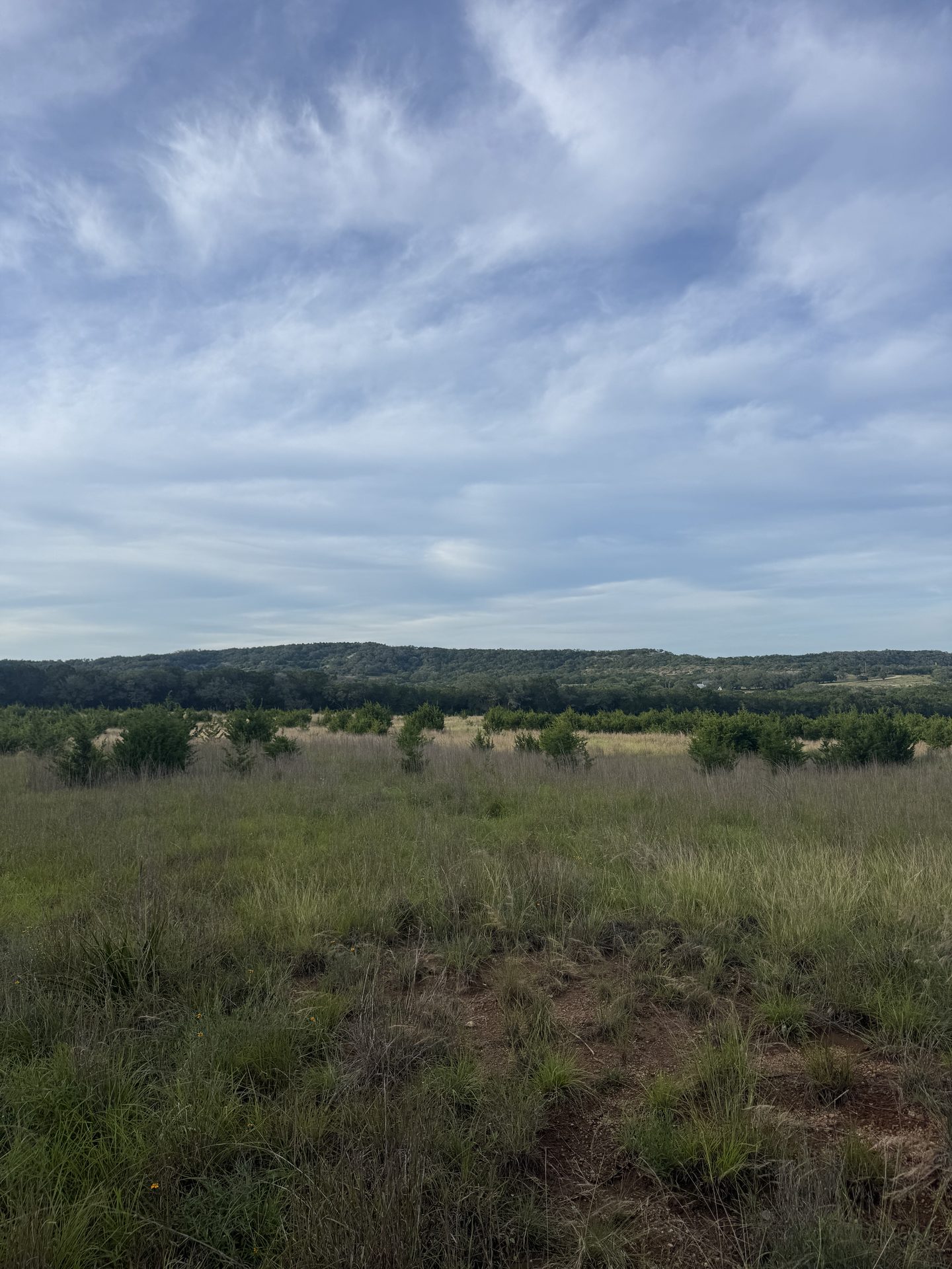 Open range running to a distant ridge